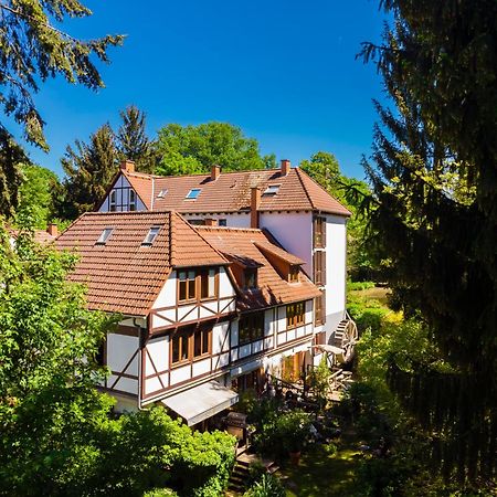 Einliegerwohnung In Einer Muehle Vor Den Toren Frankfurts, Ideal Fuer Messegaeste Oder Stop Over Dreieich Eksteriør bilde