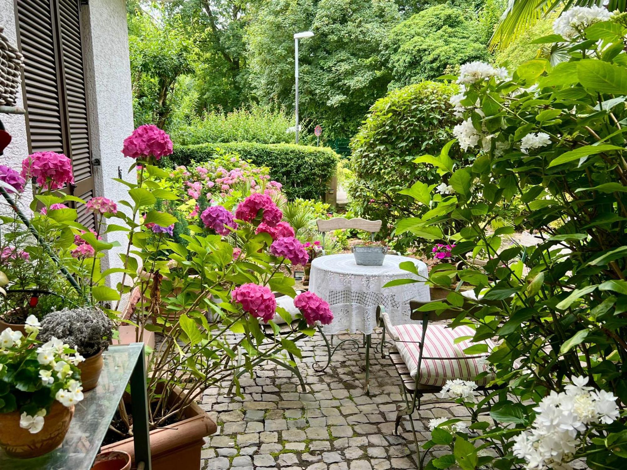 Einliegerwohnung In Einer Muehle Vor Den Toren Frankfurts, Ideal Fuer Messegaeste Oder Stop Over Dreieich Eksteriør bilde