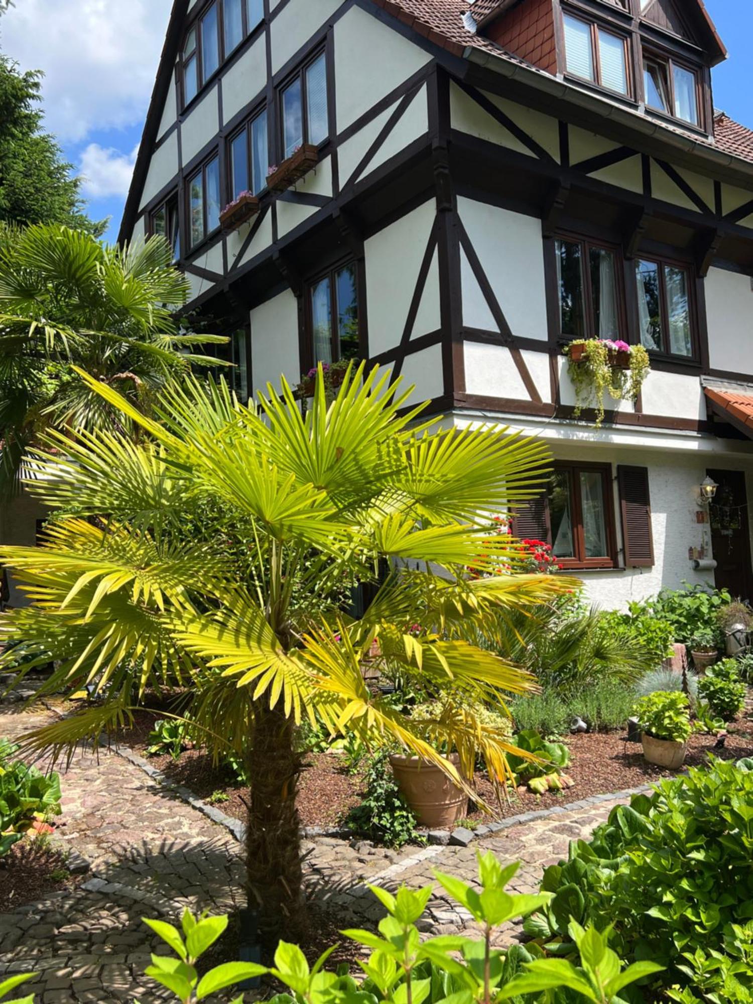 Einliegerwohnung In Einer Muehle Vor Den Toren Frankfurts, Ideal Fuer Messegaeste Oder Stop Over Dreieich Eksteriør bilde